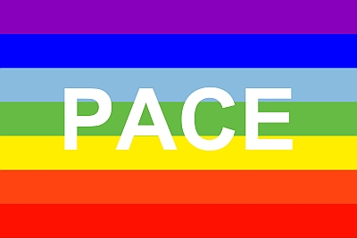 PACE flag 400